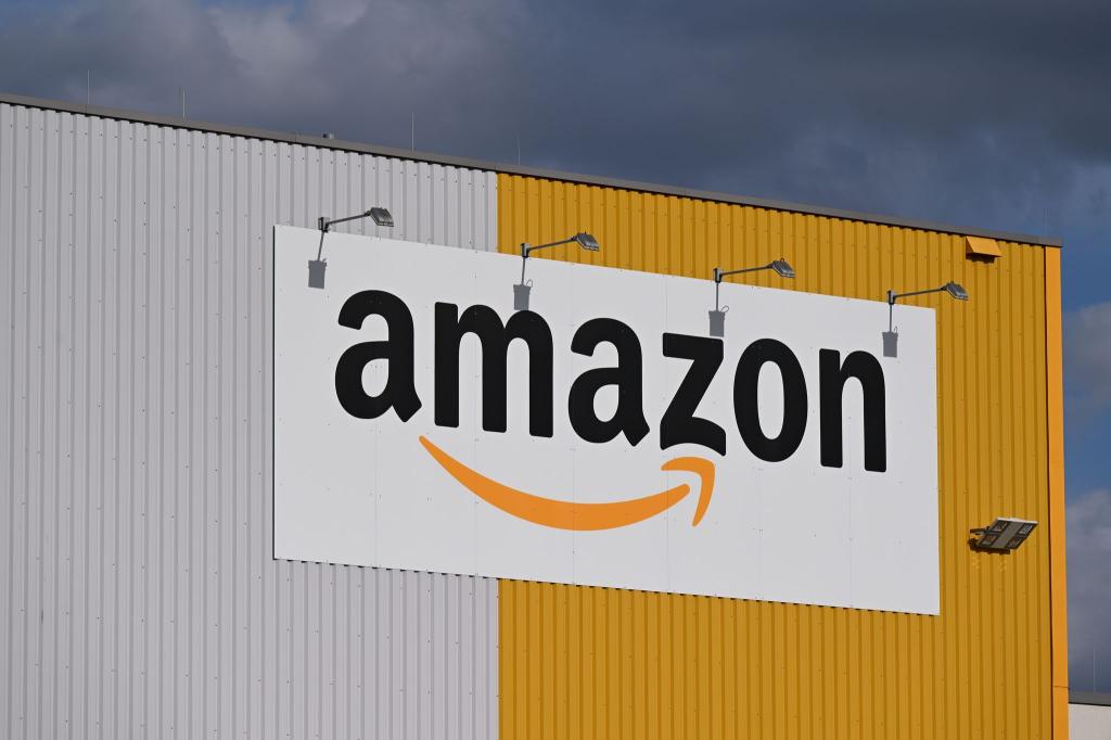 Amazon ist der mit Abstand größte Onlinehändler in Deutschland. - Foto: Wolf von Dewitz/dpa
