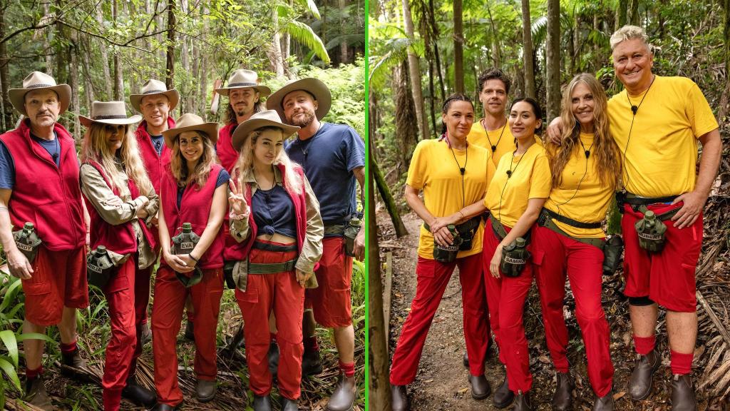 Die Bewohner des Dschungelcamps wohnen seit dem zweiten Tag alle zusammen. - Foto: Patrick Heffels/RTL/dpa