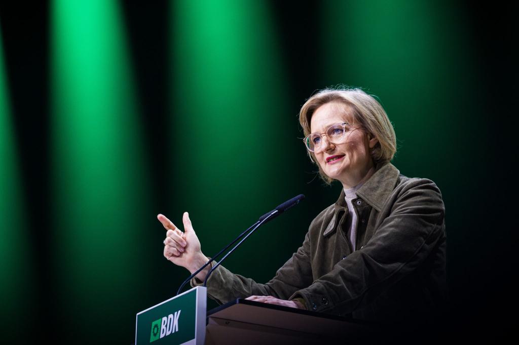 Grünen-Chefin Franziska Brantner spricht sich für mehr Unterstützung aus Deutschland für die Ukraine aus. (Archivbild) - Foto: Moritz Frankenberg/dpa