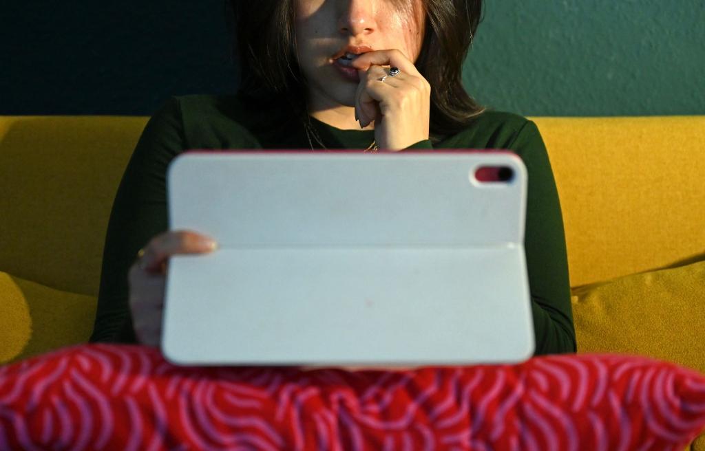 Vorgaben oder Freiwilligkeit? Streamingdienste sollen in Deutschland nicht nur kassieren. - Foto: Elisa Schu/dpa