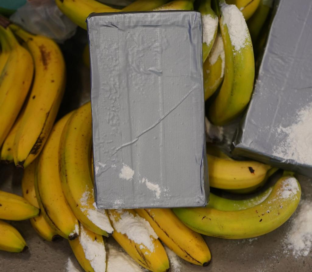 Kokain-Dealer suchen sich nach Angaben von Europol immer neue Schmuggelwege. (Symbolbild) - Foto: Marcus Brandt/dpa