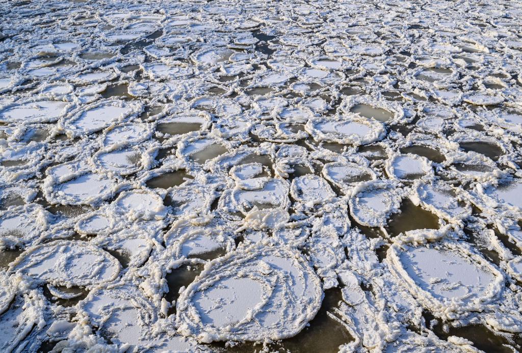 Eisteller auf der Oder - Foto: Patrick Pleul/dpa