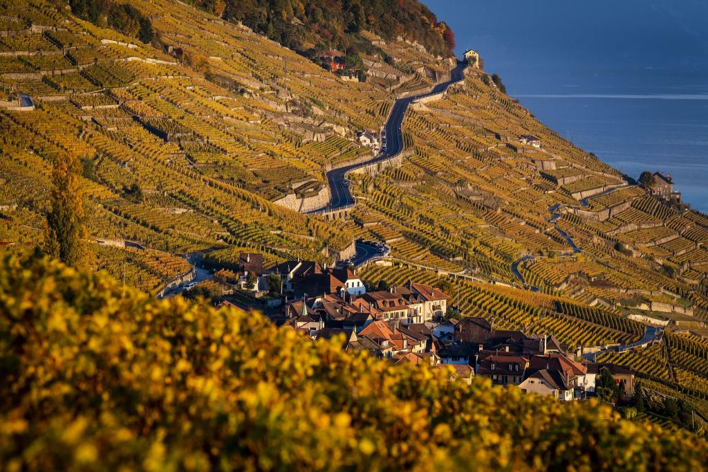 Der Kanton Waadt ist durch Weinanbau geprägt. (Archivbild) - Foto: Jean-Christophe Bott/KEYSTONE/dpa