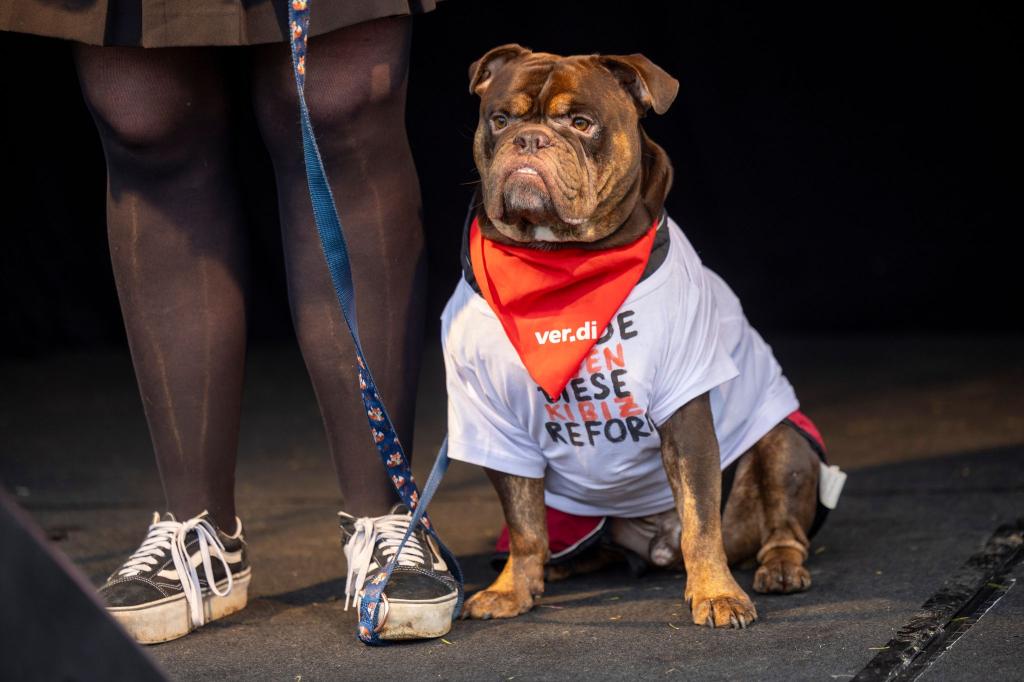 Hund Henry beim Verdi-Streik - Foto: Thomas Banneyer/dpa