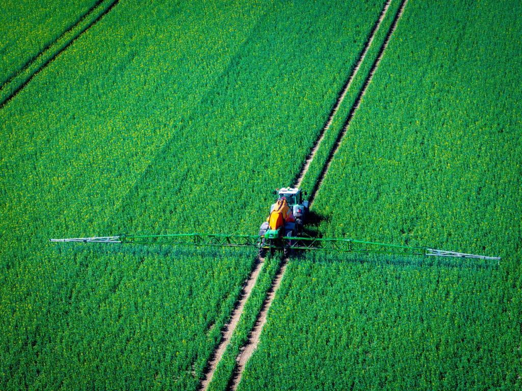 Pflanzenschutzmittel belasten Nützlinge im Boden (Archivbild) - Foto: Jens Büttner/dpa